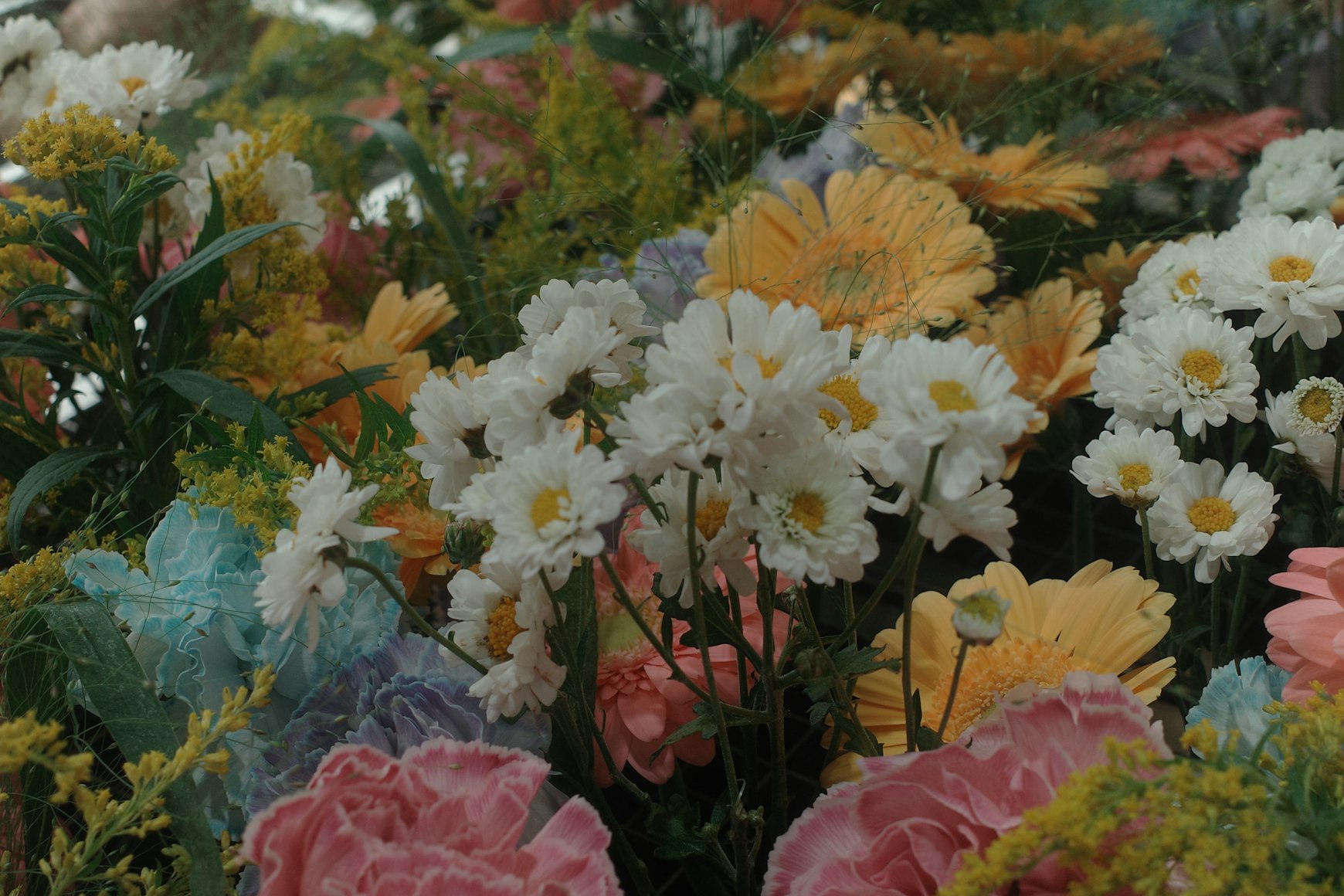 Ethical Flowers